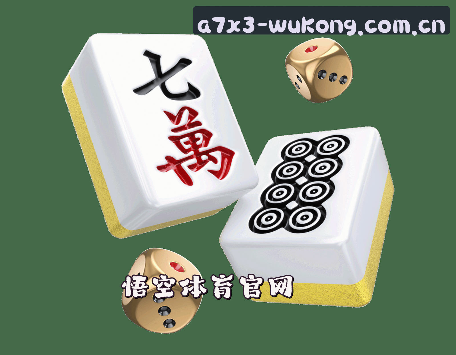 悟空(WUKONG)官方网站 · 体育登录入口 · A7X3